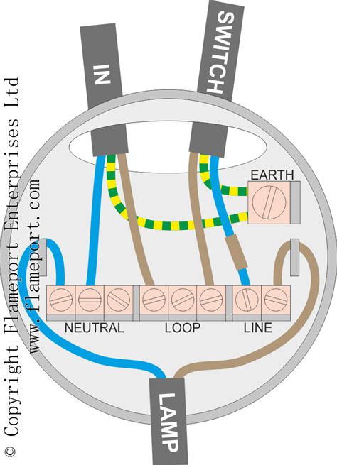 junction box ceiling rose circuit|ceiling lighting wiring rose.